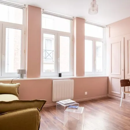 شقة L'elysia - T2 Au Coeur Du Vieux-lille ليل